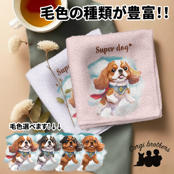 【 ヒーロー キャバリア 】 パステルカラー ハンカチ　2枚セット　犬　ペット　うちの子　プレゼント