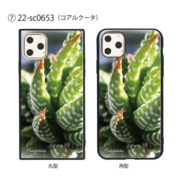 ガラス保護フィルム付 iPhone 11 Pro Max ケース 【プラント植物】