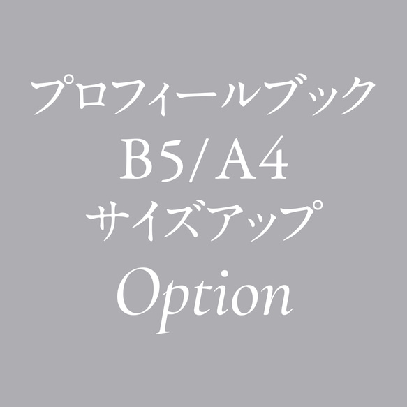 プロフィールブック  B5 / A4サイズアップオプション