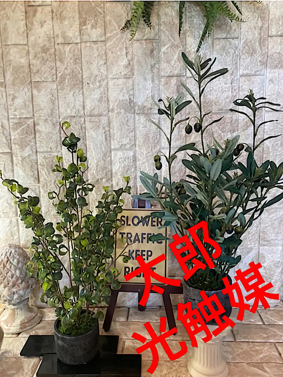 光触媒　人工観葉植物　ウォールグリーン　フェイク　フラワー　oオリーブとバロック