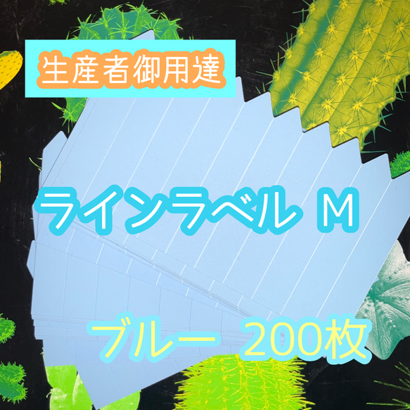 ラインラベル 中 青200枚 園芸ラベル カラーラベル 多肉植物 エケベリア