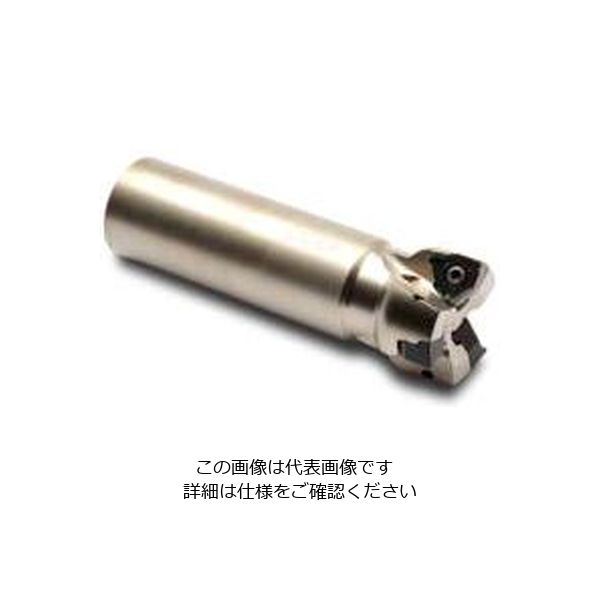 Seco Tools フライス スクエア6 R217.96-01.25-3-04-5A 1個（直送品）