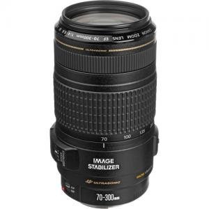 Canon キャノン カメラレンズ EF 70-300mm f/4-5.6 IS USM Lens【並行輸入品】【中古品】