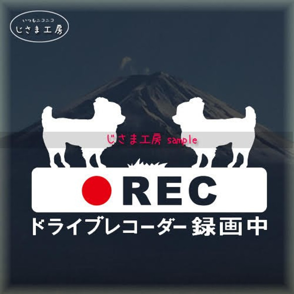 ロングコートチワワが2匹の白シルエットステッカー煽り運転防止!!『DRIVE　RECORDER』