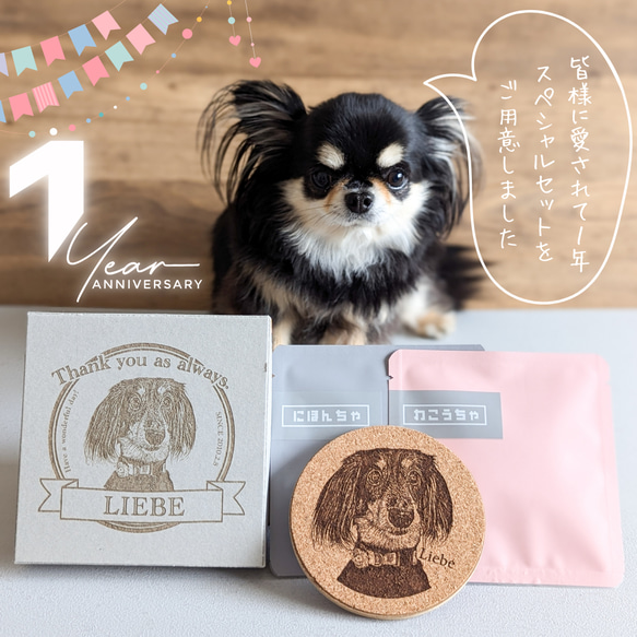 1周年記念！うちの子コースターとお茶セット　うちの子BOX付き　犬・猫