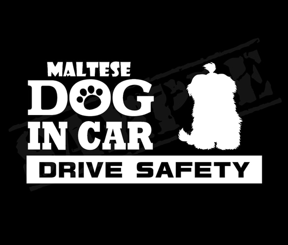 『犬種名・DOG IN CAR・DRIVE SAFETY・マルチーズ②』ステッカー　9cm×17cm