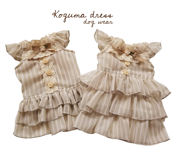 再販✩.*˚クラシカルフラワーワンピ・Koguma dress・犬服