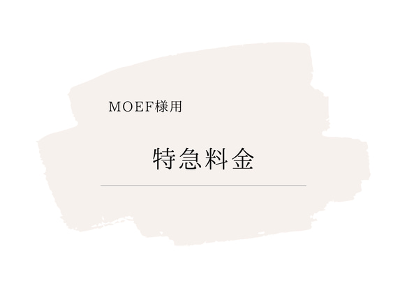 【moef様専用ページ】特急料金