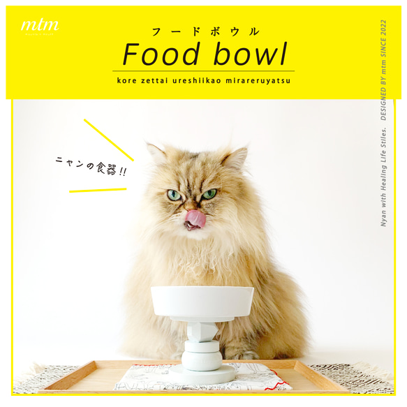 Food bowl フードボウル　designed by mtm