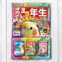 オカメインコ雑誌シリーズVol.5　ポストカード3枚セット