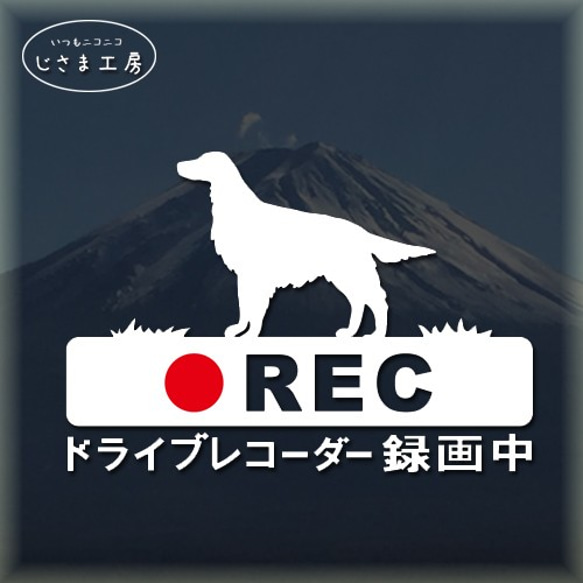 アイリッシュセッターの白色シルエットステッカー危険運転防止!!ドライブレコーダー録画中