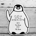 書き込めるペンギンのマグネット　大きめサイズ