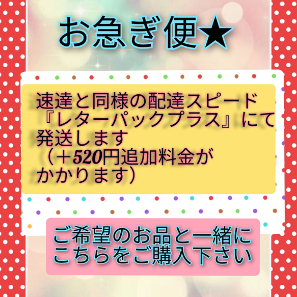 速達同様のスピード【レターパックプラスにて発送】お急ぎ便★ご希望のお品とセットでの購入