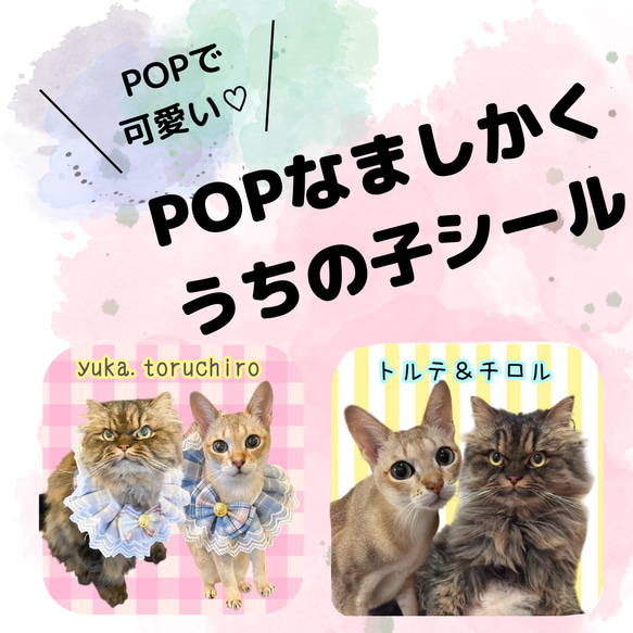 POPで可愛い★ましかくうちの子シール　ステッカー　犬　猫　赤ちゃん　子ども