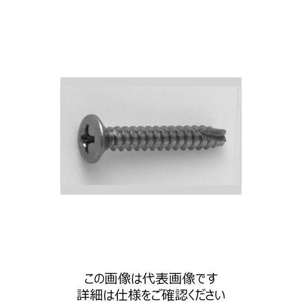 ファスニング J ステンメッキ 鉄（+）丸皿タッピンねじ（2種溝付き B-1形） 4 X 10 21000002004001005S（直送品）