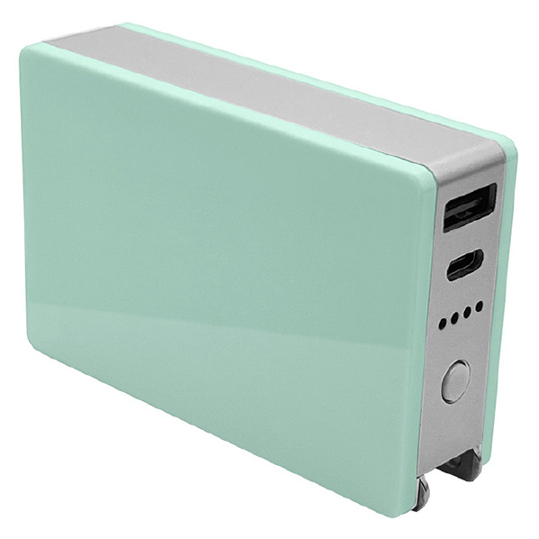 ラスタバナナ Type-C1ポート/USB1ポート AC付リチウム充電器 5000mAh 3A ミント RLI050AC3A01MT