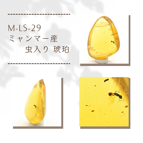 M-LS-29 ミャンマー産 虫入り 琥珀