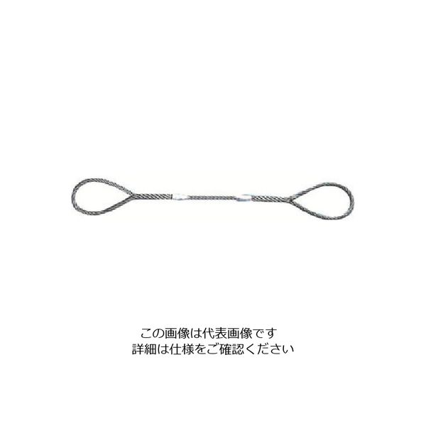 日興製綱 ニッコウ Wスリング(裸) 全長5.0m スリング径22mm W22-5H 1セット(2本) 815-7453（直送品）