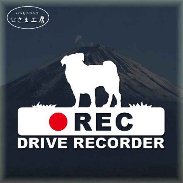 パグの白シルエットステッカー後方注意!!『DRIVE　RECORDER』