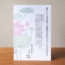 喪中はがき〜蓮の花・4枚セット