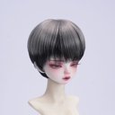 BJD 1/3 1/4  1/6人形 ドール用ウィッグ カツラ 耐熱 ハンドメイドzxww-292