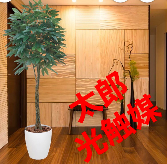 光触媒　人工観葉植物　ウォールグリーン　フェイクグリーン　パキラ 1.6m