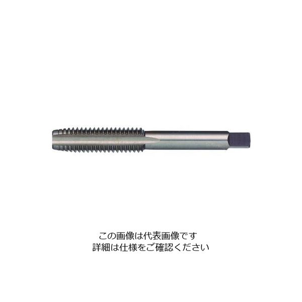 エスコ M16 x 1.0 ハンドタップ(SKS2/中) EA829DA-16C 1セット(2本)（直送品）