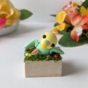 うちの子 セキセイインコ  セキセイインコ置物  ミニチュア雑貨