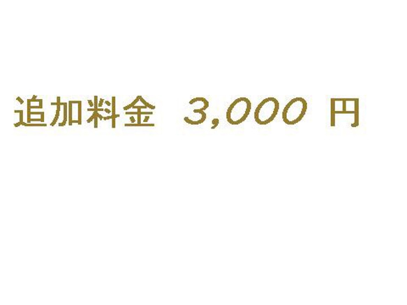 オーダー追加料金 3,000 円