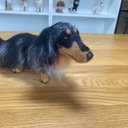 愛犬ちゃんのそっくりなリアルなペット人形をお作りします！　羊毛フェルト　犬　オーダー　ぬいぐるみ　愛犬　　ペット　リアル　人形