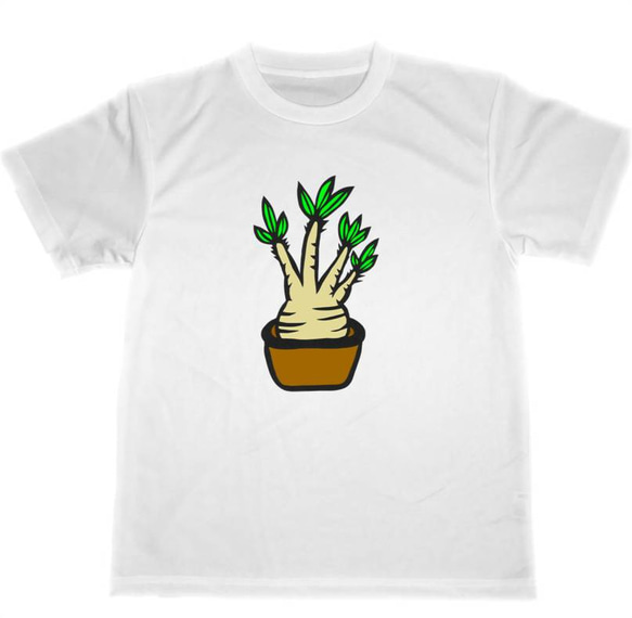 グラキリス　ドライ　Tシャツ　TUGE9999　オリジナル　切り絵　グッズ　塊根植物　観葉植物