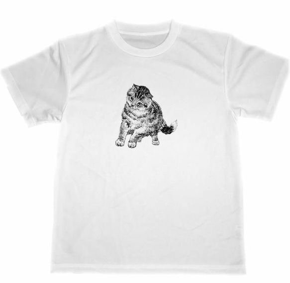 ネコ　ドライ　Tシャツ　猫　グッズ　CAT