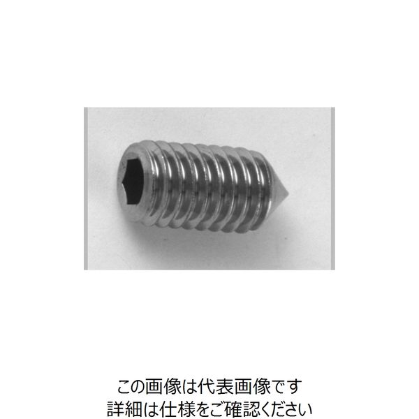 ファスニング J 3カーB 鋼 六角穴付き止めねじ（ホーローセット）（とがり先） 5 X 10 A000502M0050010004（直送品）