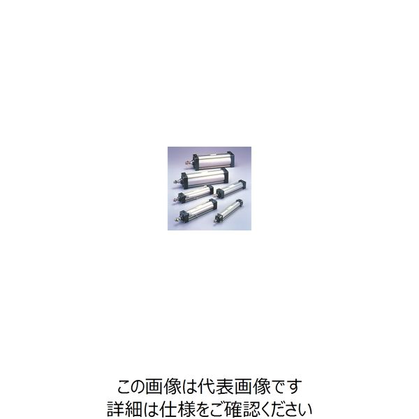 TAIYO エアーシリンダ 10Aー6CC50B300ーBE2 10A-6CC50B300-BE2 1個（直送品）