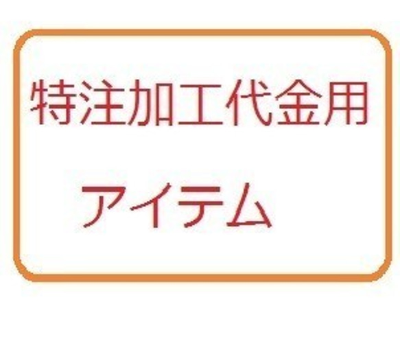 ※追加料金専用アイテムです