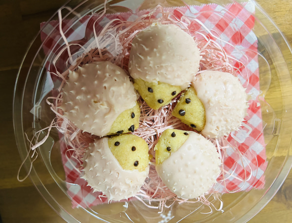 ピンクハリちゃんいちご味⭐︎はりねずみのはりちゃんクッキー※夏も大人気！夏は冷蔵発送※