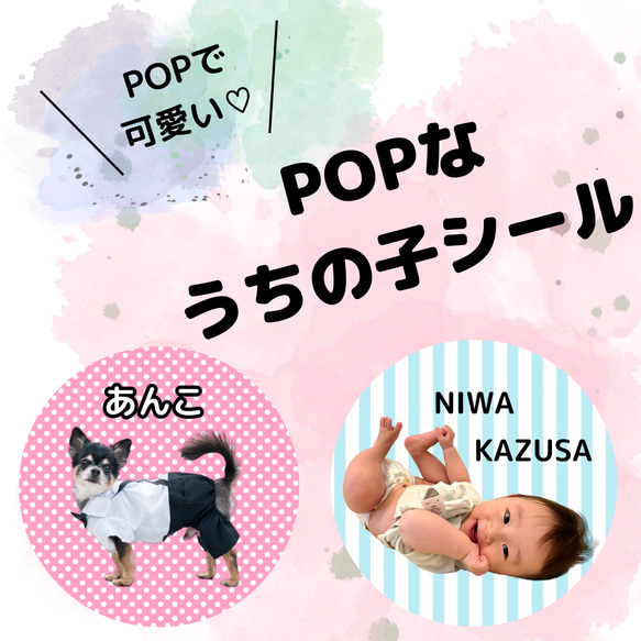 POPなうちの子まんまるシール★ステッカー　犬　猫　赤ちゃん　子ども