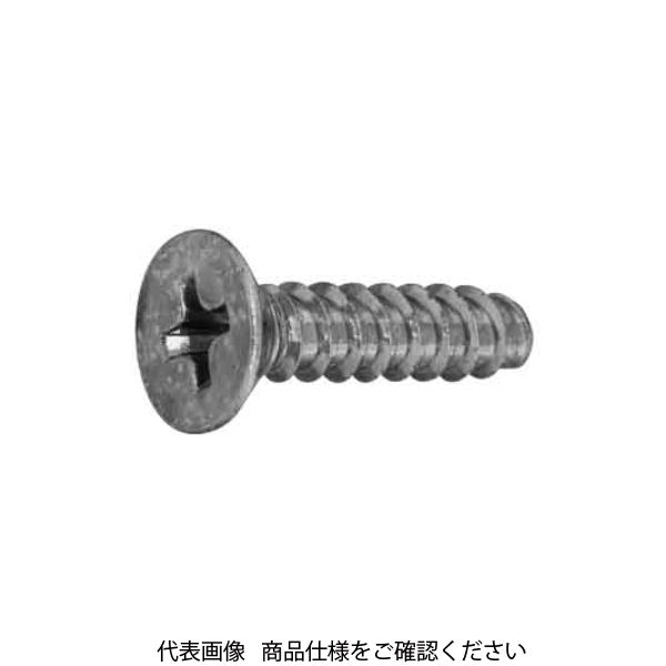 ファスニング J 3カーW 鉄 タイト(+)Bタイプ 皿 4 X 300010010040010003 1箱(2500個)（直送品）