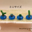 ミニチュア　多肉植物鉢植えミニサイズ③