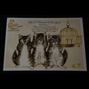 【 セブリーヌ ☆ ポストカード ２枚セット 】 Les 3 Chatons de la sagesse 猫 ネコ キャット はがき Chats enchantes 94038PC