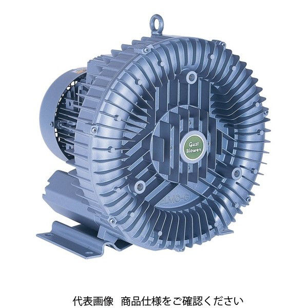 昭和電機 渦流式高圧シリーズ(ガストブロア) U2Sー40T U2S-40T 1個（直送品）