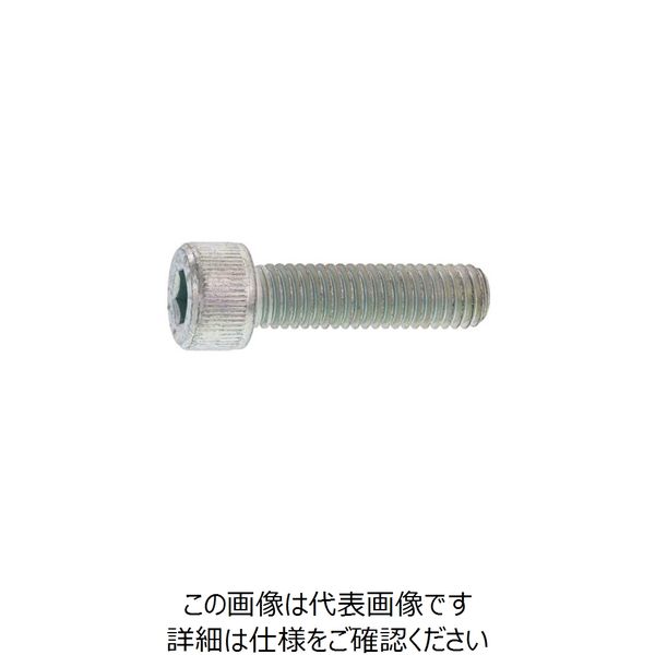 SUNCO ステンCAP 日本鋲螺 12 X 60 (50本入) A0-02-000B-0120-0600-00 1箱(50本)（直送品）