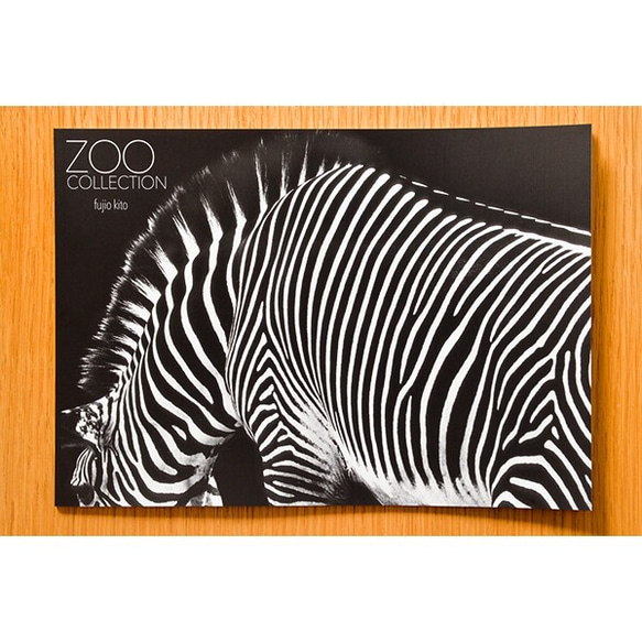 ZOO COLLECTIOO