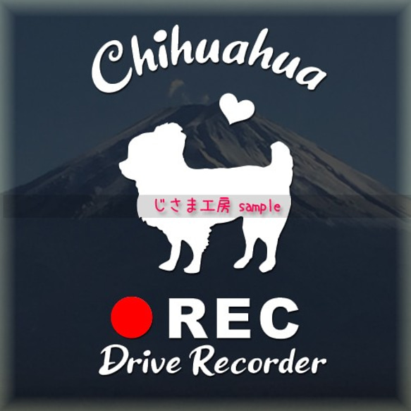 わんちゃんの可愛いドラレコステッカー!!『DRIVE　RECORDER』