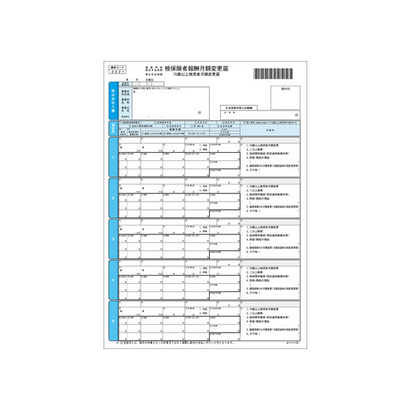 ヒサゴ 健康保険月額変更届 A4 100枚 FC91623-OP940