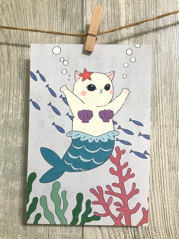 人魚猫