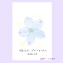 5月14日誕生花カード（花言葉つき）点描画