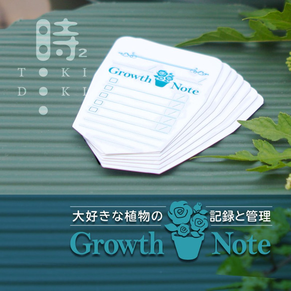 植物の成長を記録し可愛く管理するメモラベル！Growth Note/育成ノート M/７枚入り〈フラワーラベル〉植物大好き