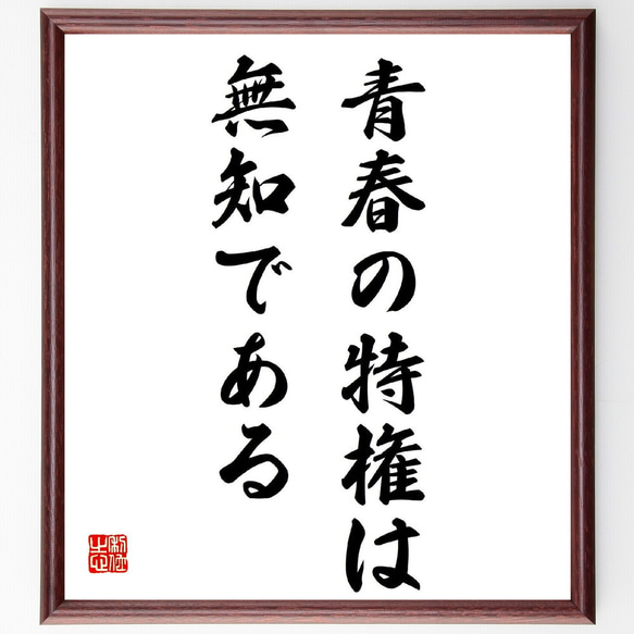 名言「青春の特権は無知である」額付き書道色紙／受注後直筆（Z2686）