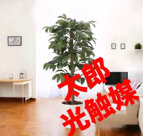 光触媒　人工観葉植物　フェイクグリーン　アルデシア(万両) 90cm